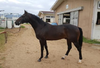 ���̽��Ķ�� ����