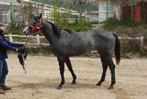 ��������Ʈ (EX POINT) ����