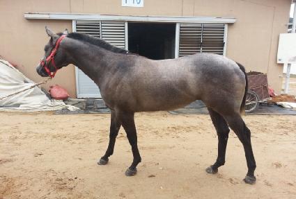 �׶�ÿ��� ����