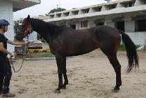 �Ͷ�Ͷ�� (WARAWARA WA) ����