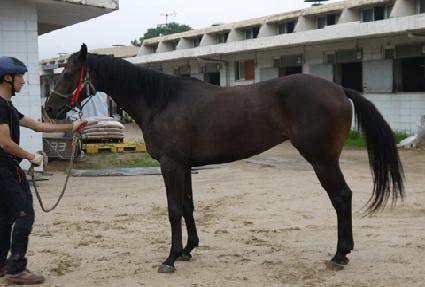 �Ͷ�Ͷ�� ����