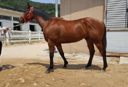 ĸƾ���� ����