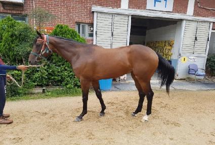 ���ϵ���� ����