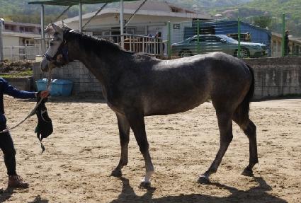 ������Ƽ���� ����