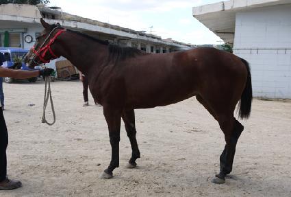 ����ȹ��� ����