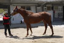 ��彺Ʈ��Ʈ (GOLD STREET) ����