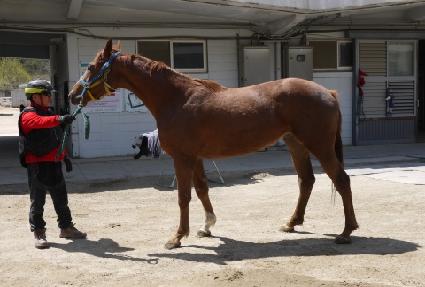 ��彺Ʈ��Ʈ ����