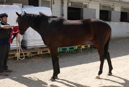 ����Ȱ�� ����