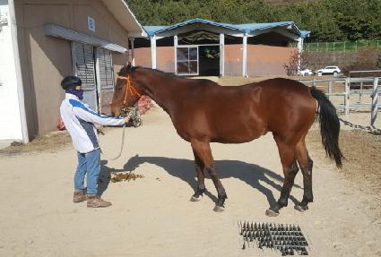 ŵ���� ����