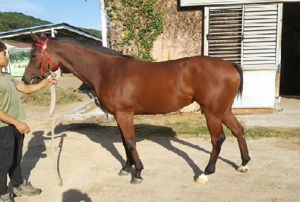 ������ ����