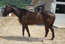 ŷ¯ (KING JJANG) ����