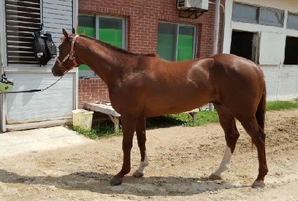 ���������� ����