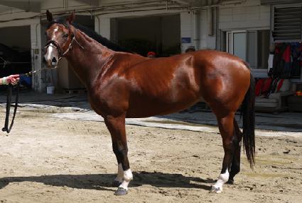 ����Ÿ ����