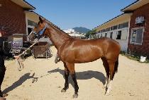 HANEOL GONGJU picture