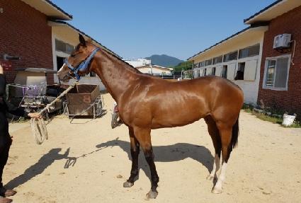 �Ѿ���� ����