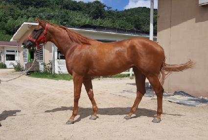 ��Ÿ��ƽ�� ����