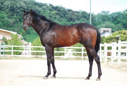 õ���ǰ� ����