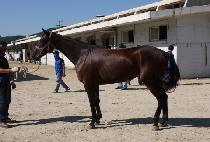 �������� (DAEJI GONGJU) ����