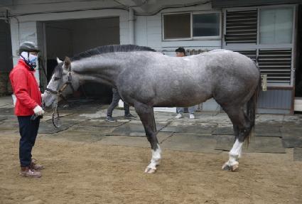 ��ƶ��� ����