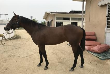 ������Ʈ�� ����