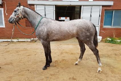 ����ô� ����