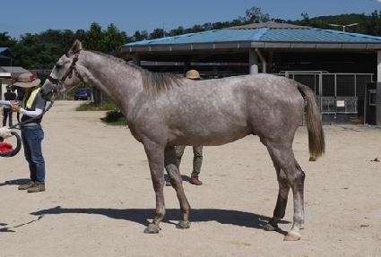 �Ƶ��ǲ� ����