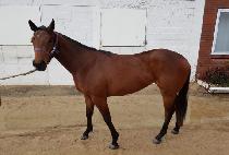 ���׸��� (BYEOL GEURIDA) ����