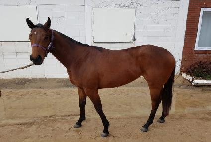 ���׸��� ����