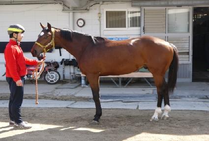 ��Ʈ�շ��� ����