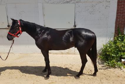 ���Ž� ����