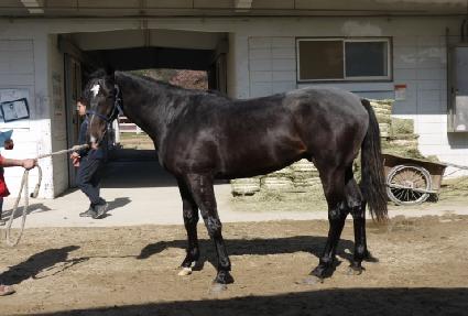 ����Ǯ���� ����