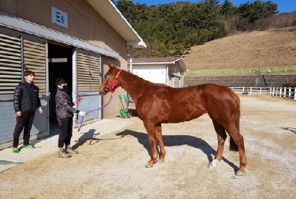 ���ε� ����