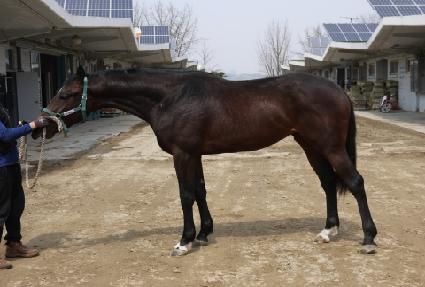 �ְ���� ����