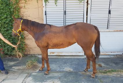 ûǳ���� ����