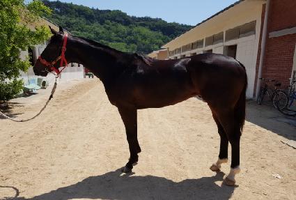 ���ǰ������� ����