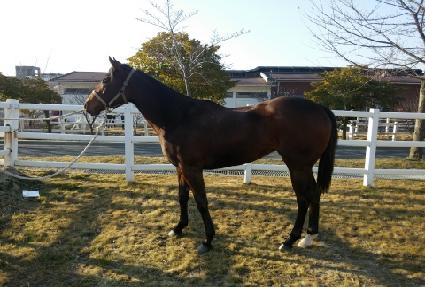 ���ο����� ����