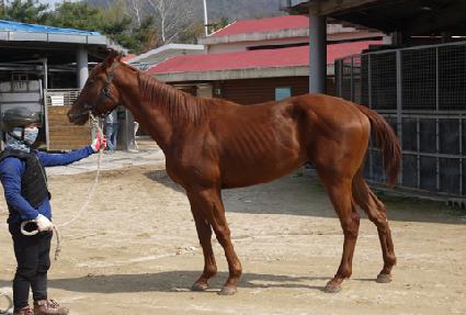 ��ũ���屺 ����