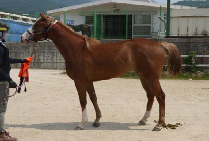 �Ƹ��γ� ����