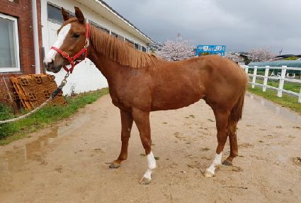 ������ĸƾ ����