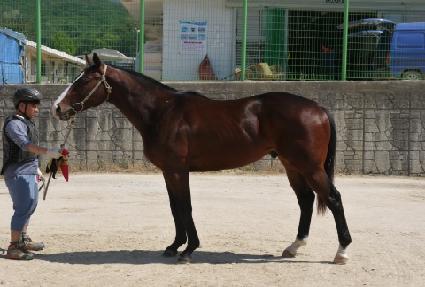 Ⱦ��� ����