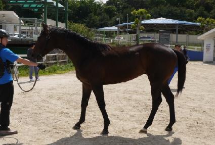 ����ϼ��� ����