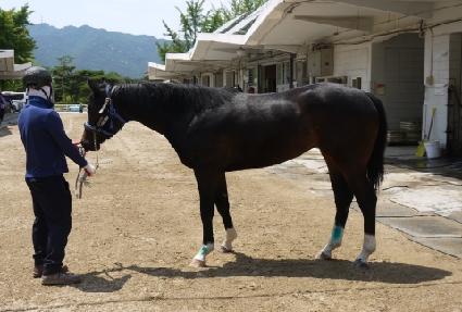 �����Ǻ� ����