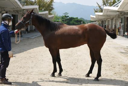 �����ǲ� ����