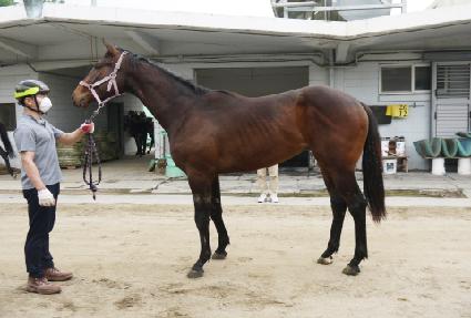 ���ʽ��Ǹ� ����