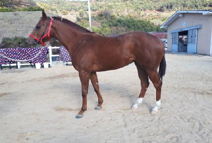 ���ʽŵ� ����