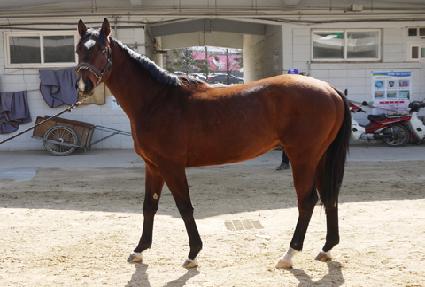 ����è�� ����