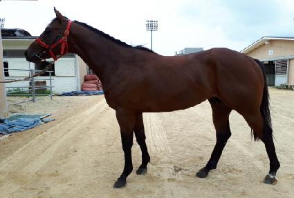 ����õ�� ����