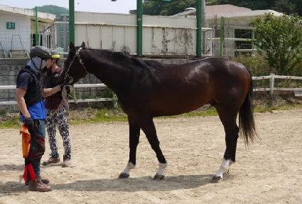 ������ ����