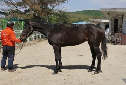 ���̽����� ����