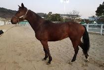 �ϴ��� (ROCK DANCER) ����